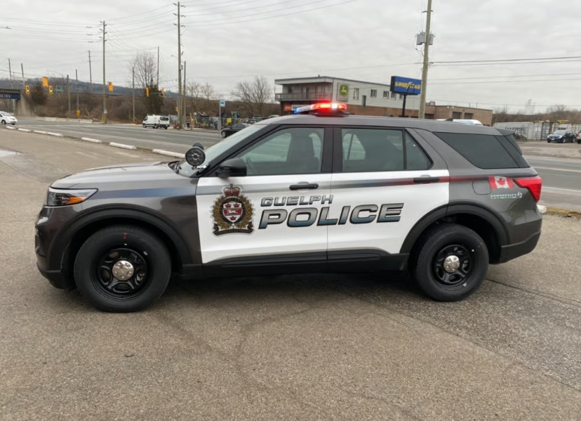 Guelph man arrested for alleged robbery with cattle prod