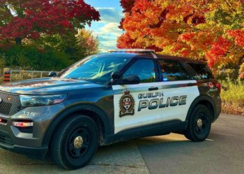 Guelph man allegedly cleans out 90-year-old former father-in-law’s bank account: police