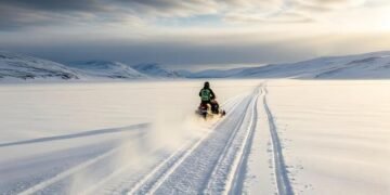 Newfoundland snowmobiler arrested after allegedly chasing car, threatening occupants