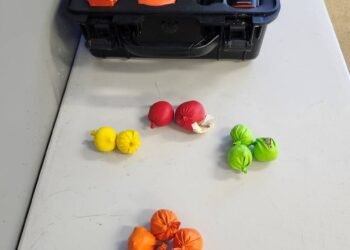 Calgary man charged after $600k drone drug drop at prison