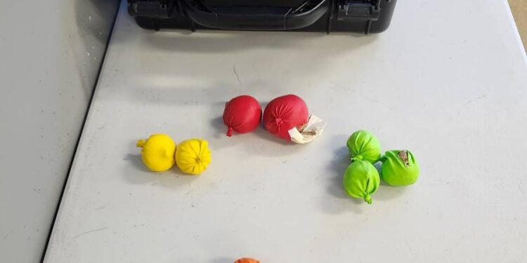 Calgary man charged after $600k drone drug drop at prison